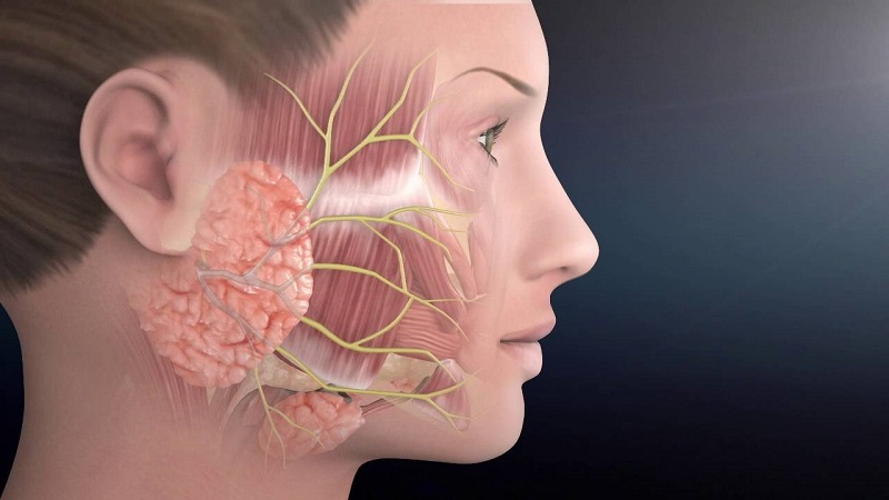 Điều trị liệt dây thần kinh số 7 bằng phương pháp y học cổ truyền